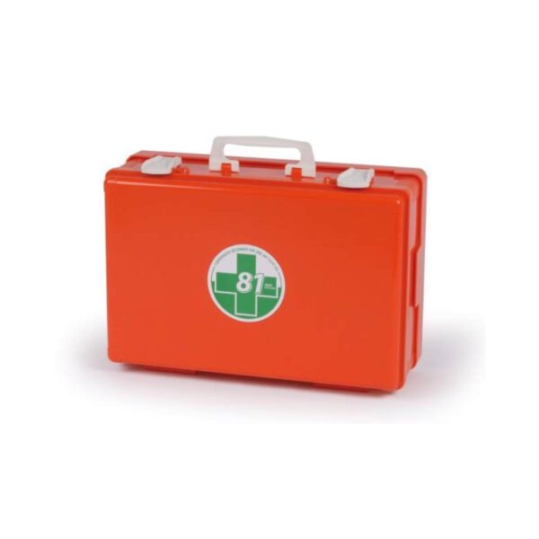 Cassetta di pronto soccorso in plastica rigida con supporto completa di allegato 1